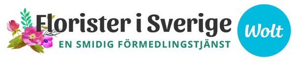 Beställ via Wolt